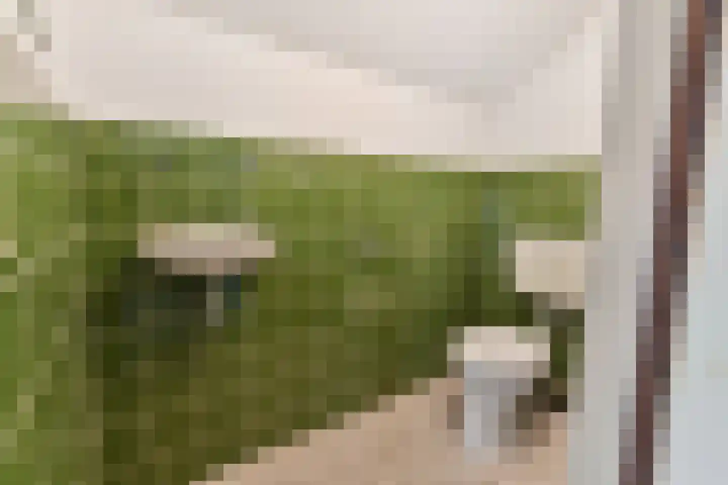 Virulylaan 9 Leidschendam thumbnail 42