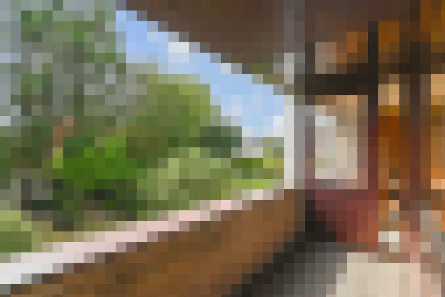 Virulylaan 9 Leidschendam thumbnail 43