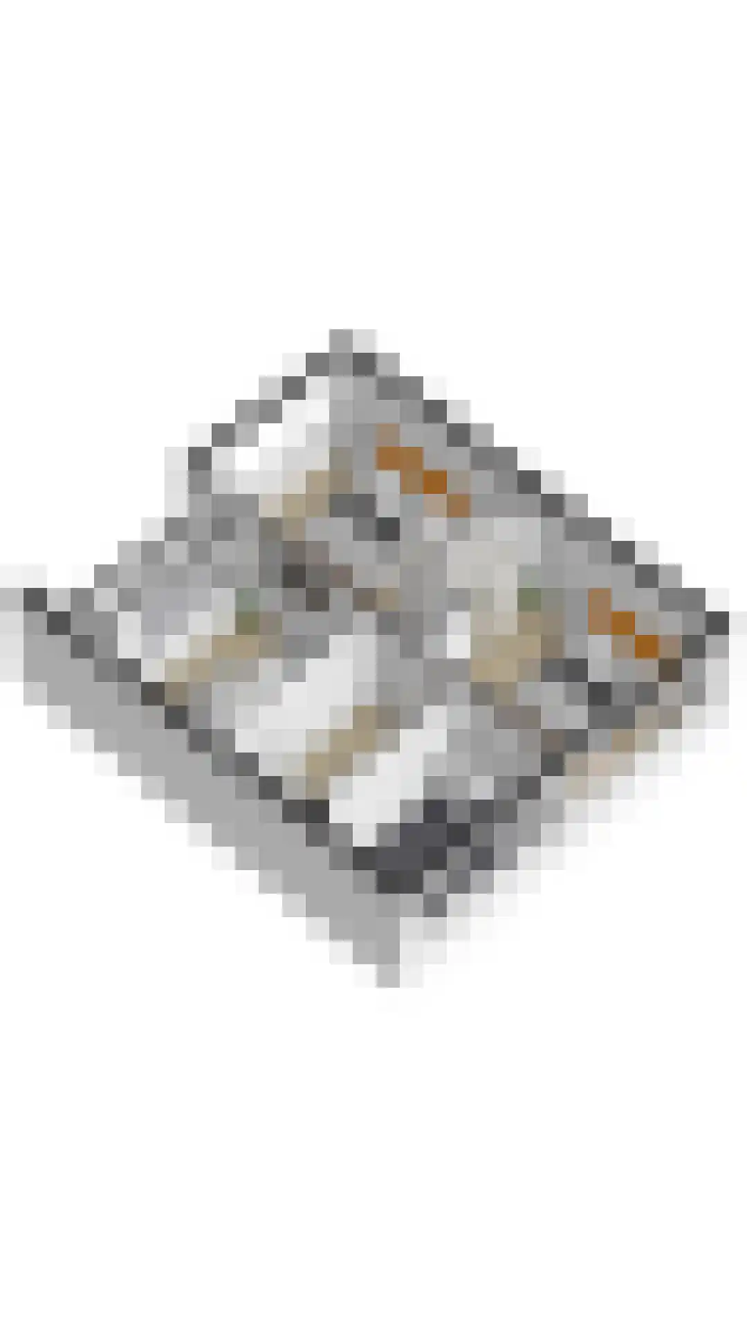 Virulylaan 9 Leidschendam thumbnail 46