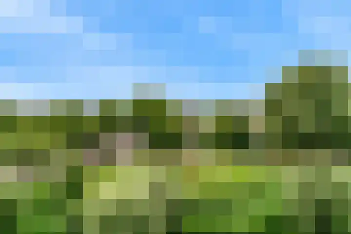 Virulypad 31 Leiden thumbnail 17