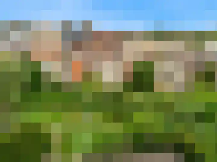 Virulypad 31 Leiden thumbnail 30