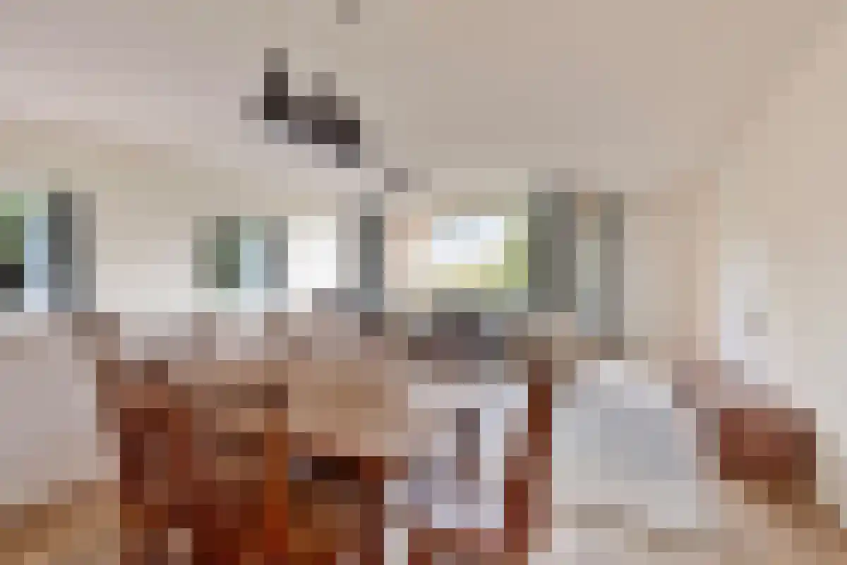 Virulypad 55 Leiden thumbnail 5