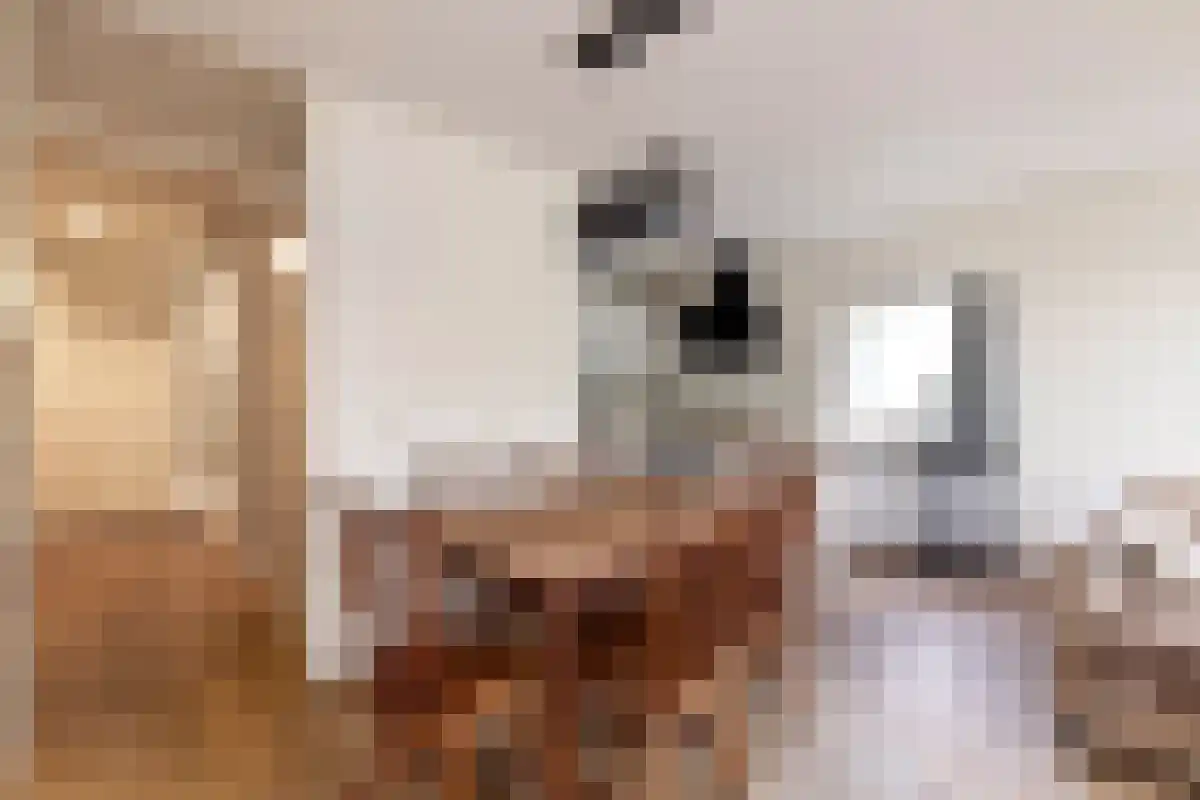 Virulypad 55 Leiden thumbnail 6