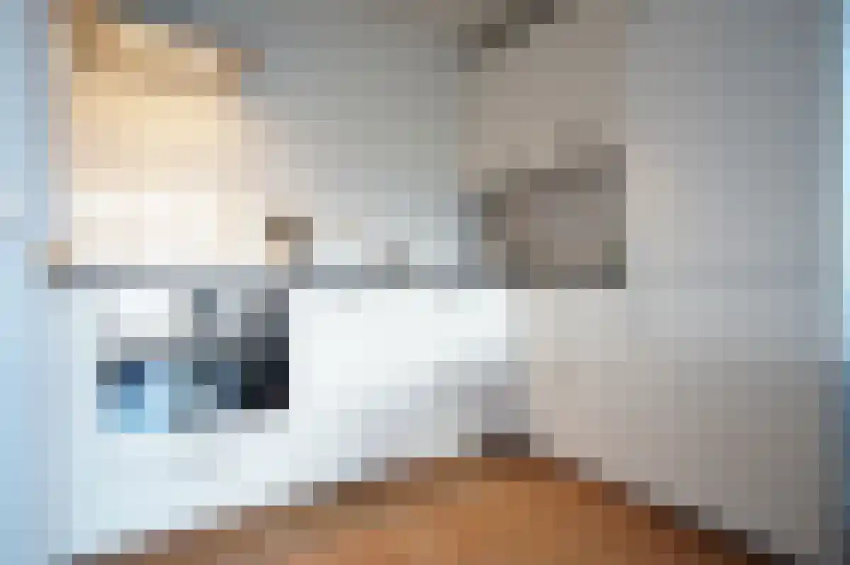 Virulypad 59 Leiden thumbnail 5