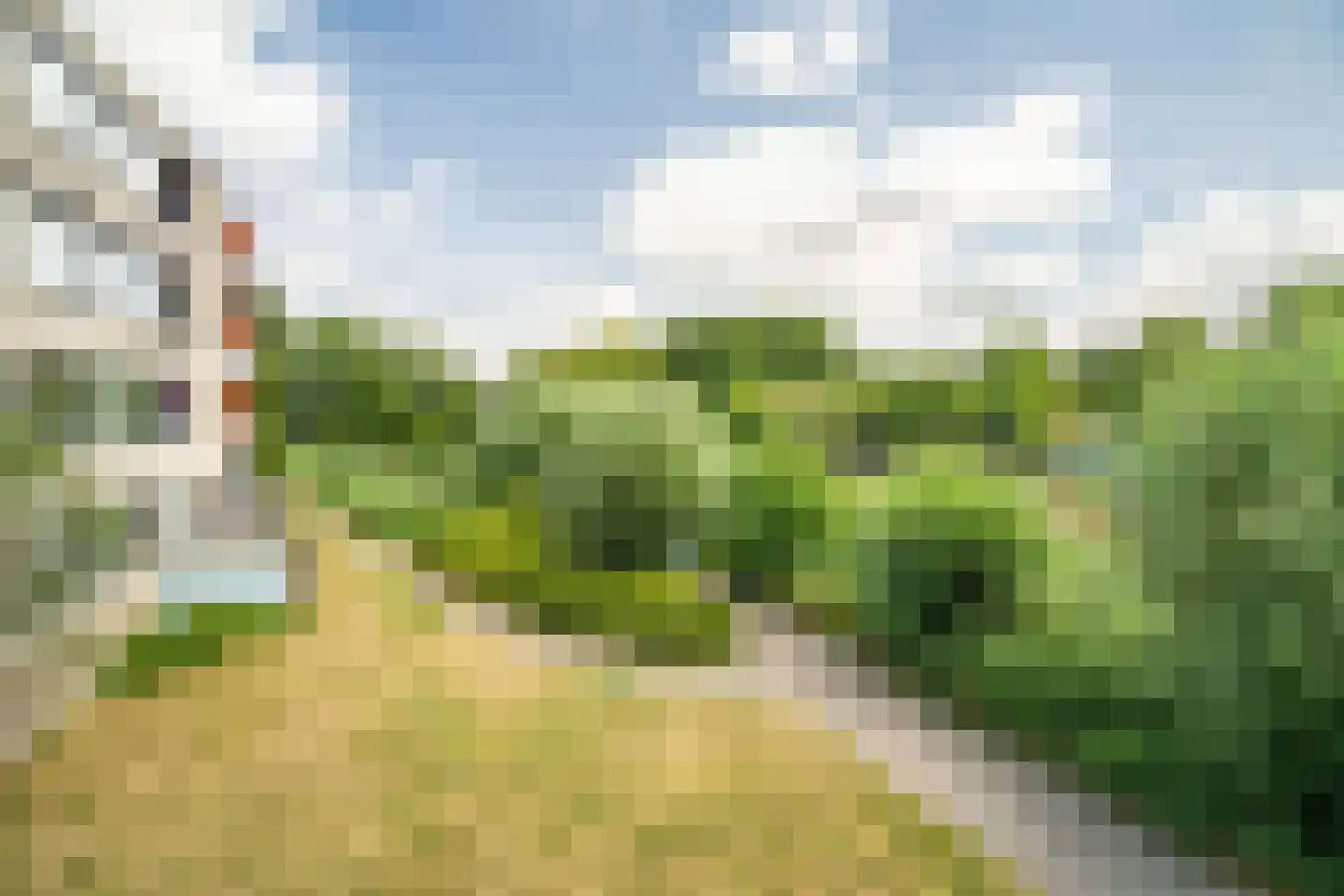 Virulypad 7 Leiden thumbnail 10