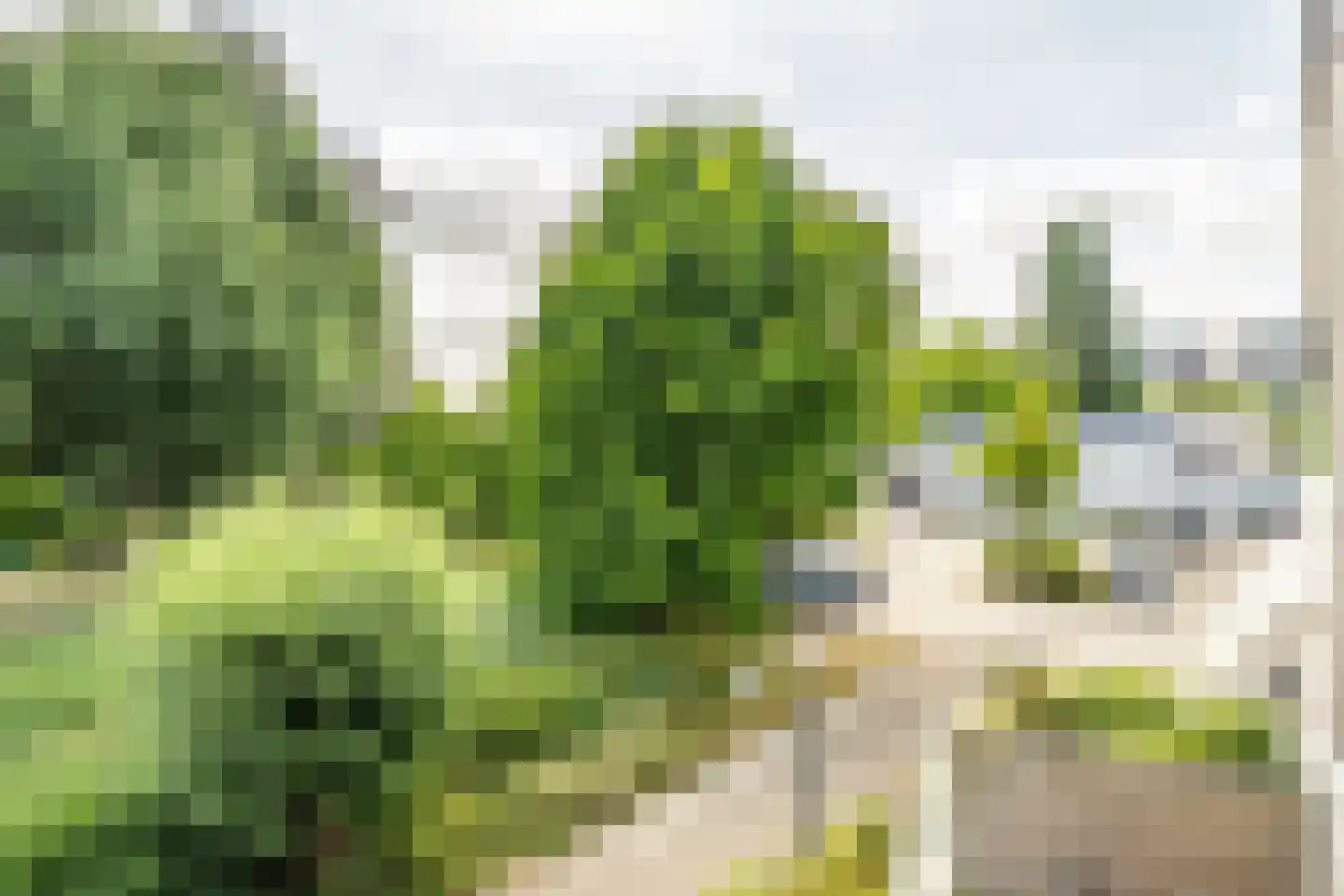 Virulypad 7 Leiden thumbnail 11
