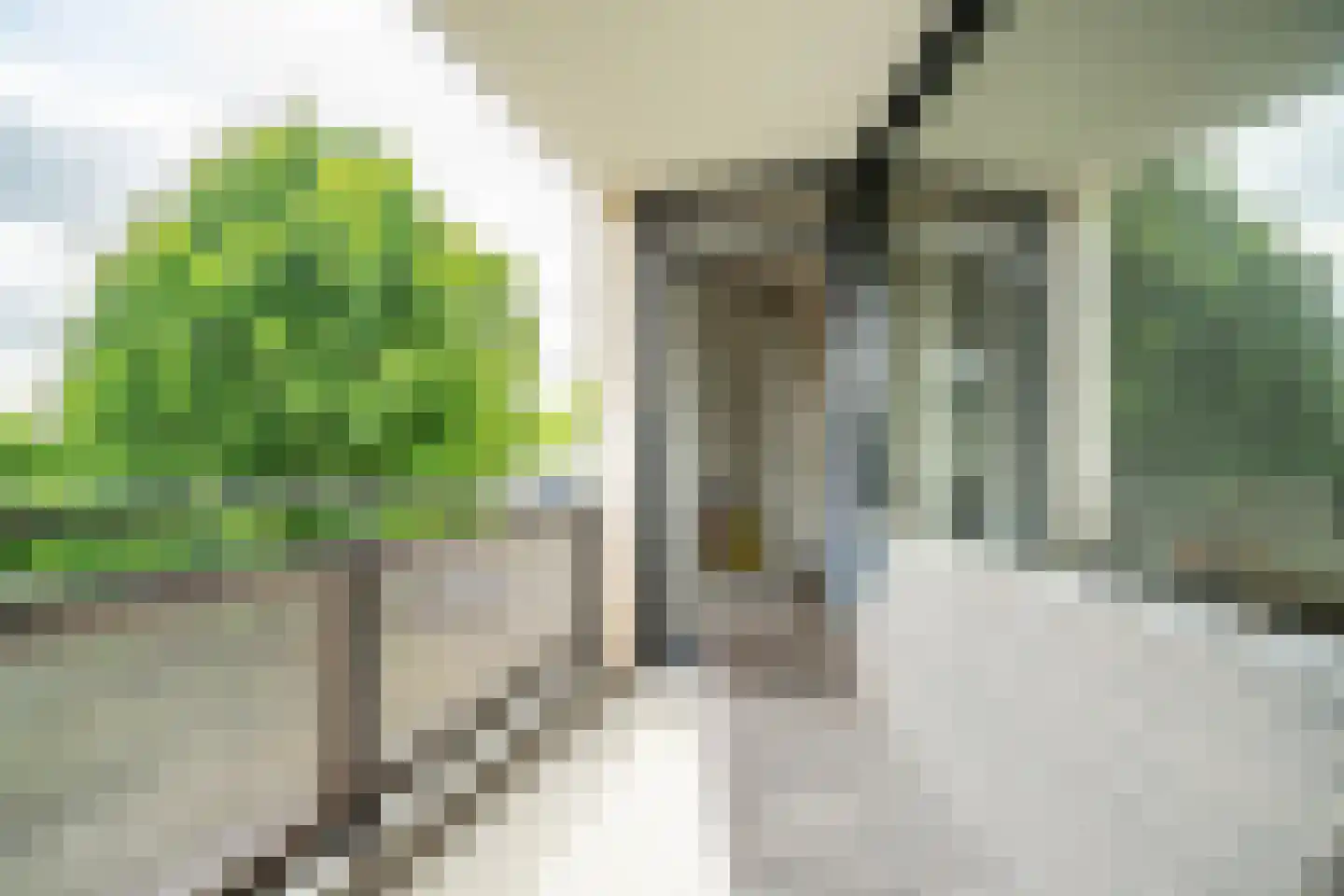 Virulypad 7 Leiden thumbnail 12