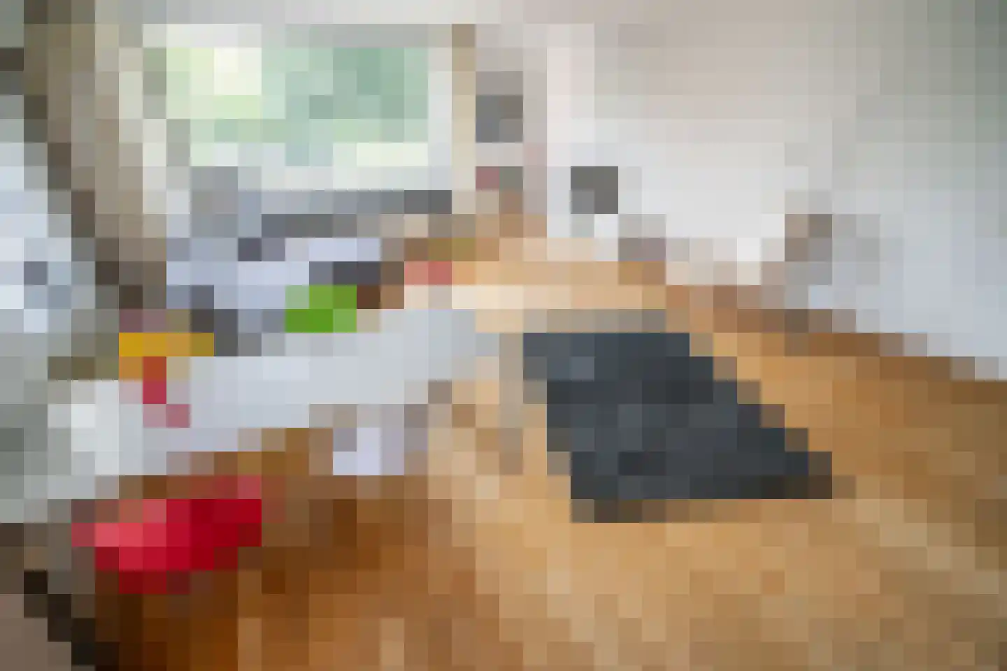 Virulypad 7 Leiden thumbnail 4