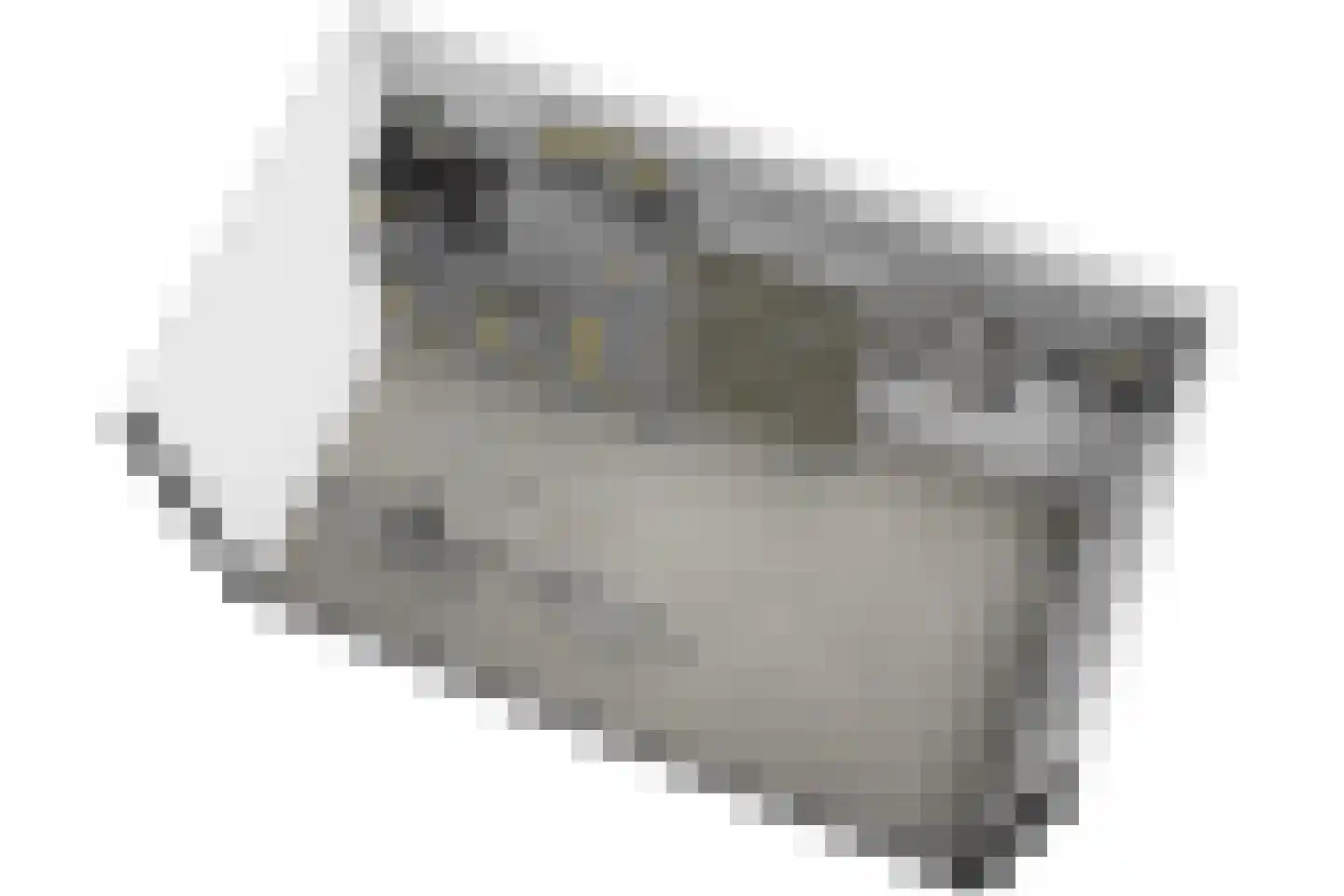 Virulypad 7 Leiden thumbnail 41