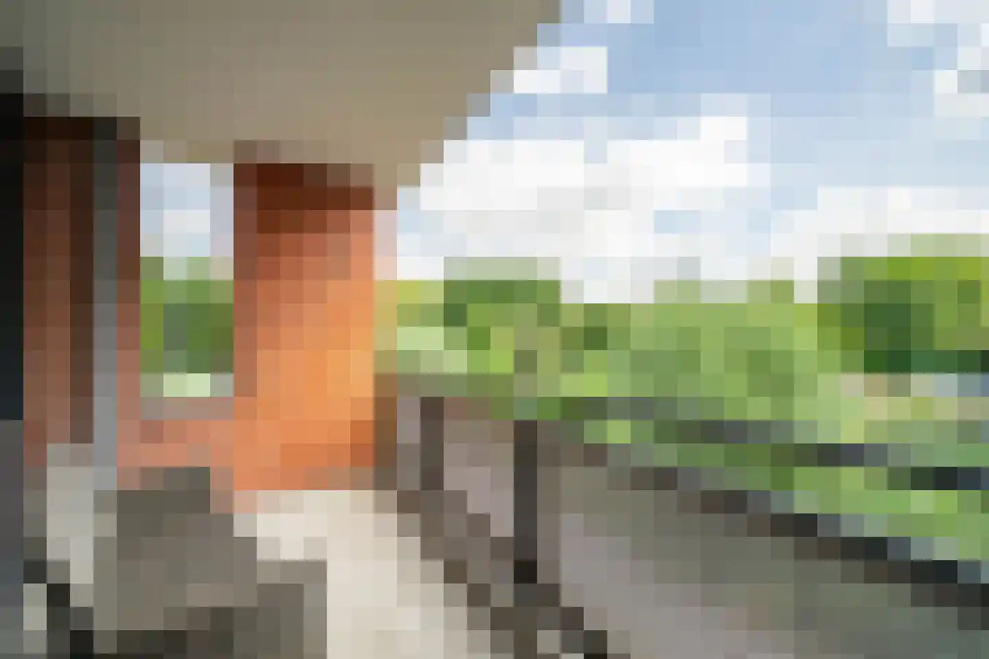 Virulypad 7 Leiden thumbnail 9