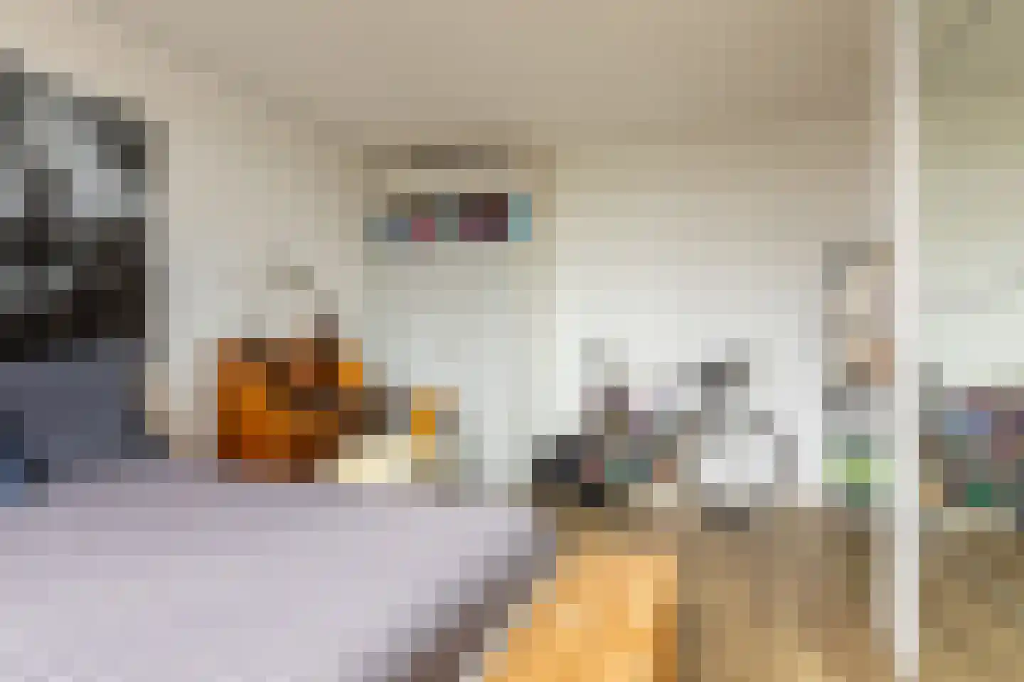 Virulyplein 10 A Rotterdam thumbnail 24