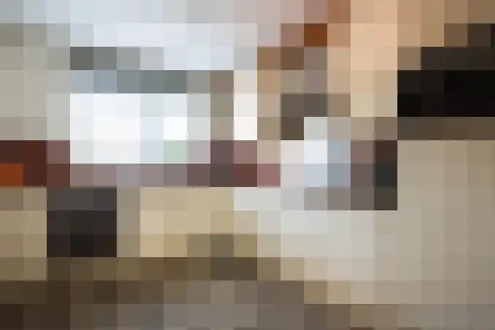 Visarend 15 Bergen op Zoom thumbnail 10