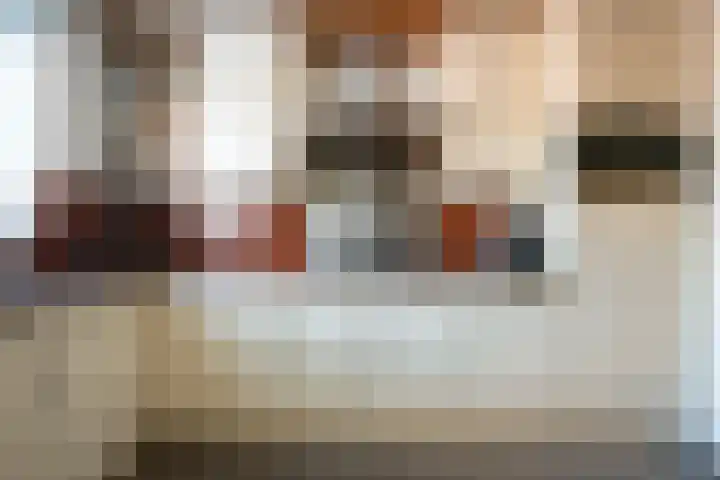 Visarend 15 Bergen op Zoom thumbnail 11
