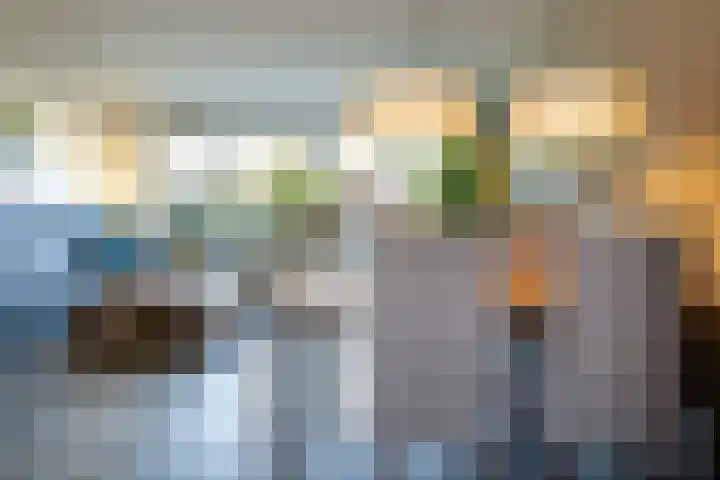 Visarend 15 Bergen op Zoom thumbnail 13
