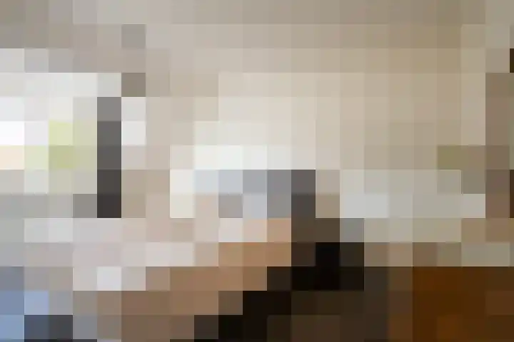 Visarend 15 Bergen op Zoom thumbnail 16