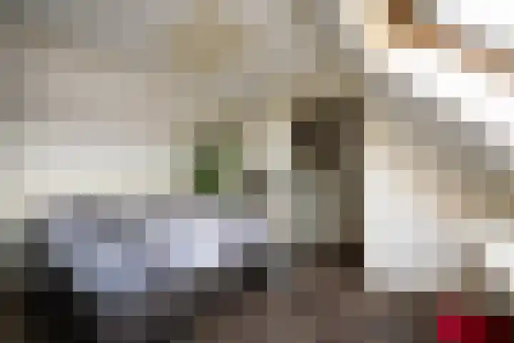 Visarend 15 Bergen op Zoom thumbnail 23