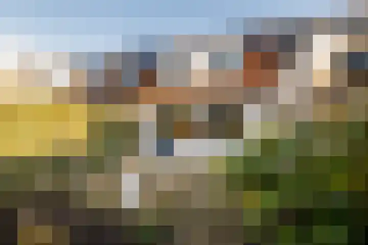 Visarend 15 Bergen op Zoom thumbnail 25