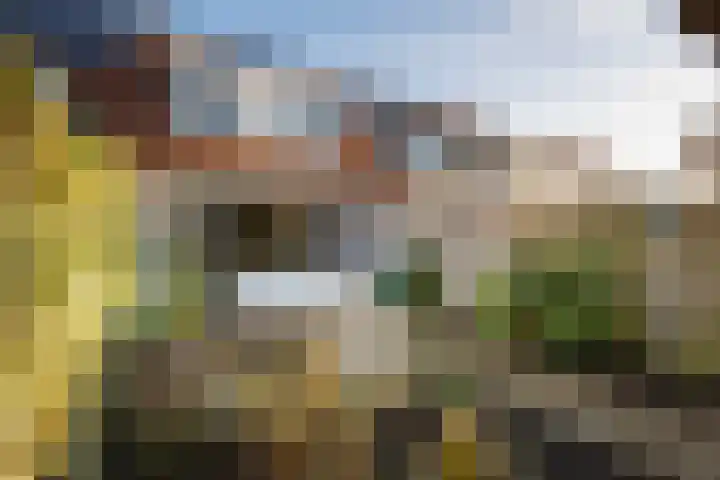 Visarend 15 Bergen op Zoom thumbnail 26