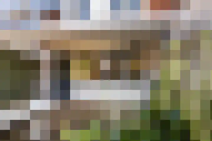 Visarend 15 Bergen op Zoom thumbnail 27
