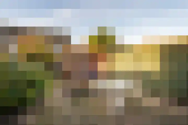 Visarend 15 Bergen op Zoom thumbnail 28