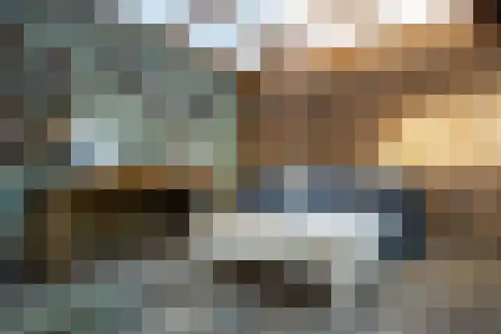 Visarend 15 Bergen op Zoom thumbnail 30