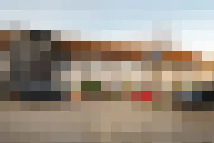 Visarend 15 Bergen op Zoom thumbnail 33