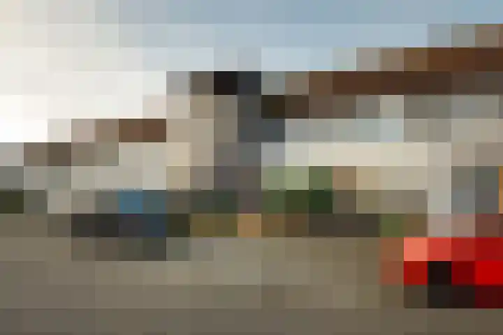 Visarend 15 Bergen op Zoom thumbnail 34