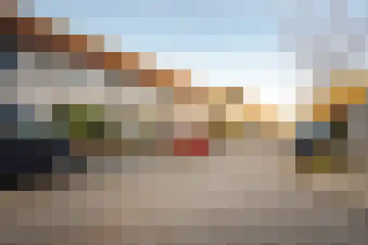 Visarend 15 Bergen op Zoom thumbnail 35