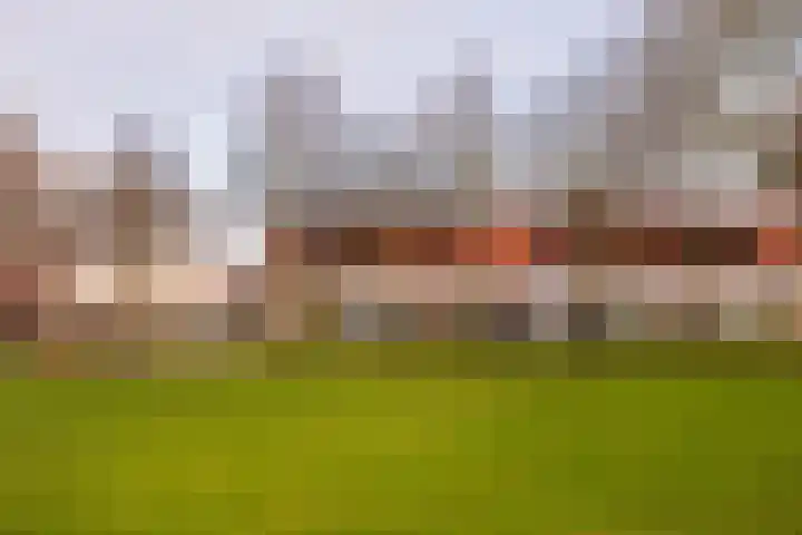 Visarend 15 Bergen op Zoom thumbnail 36