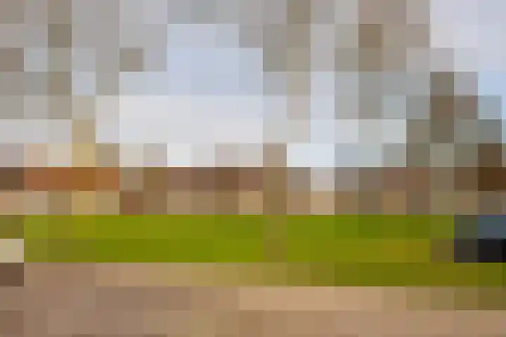 Visarend 15 Bergen op Zoom thumbnail 37