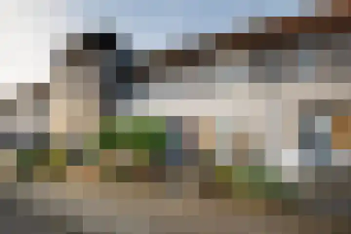 Visarend 15 Bergen op Zoom thumbnail 4