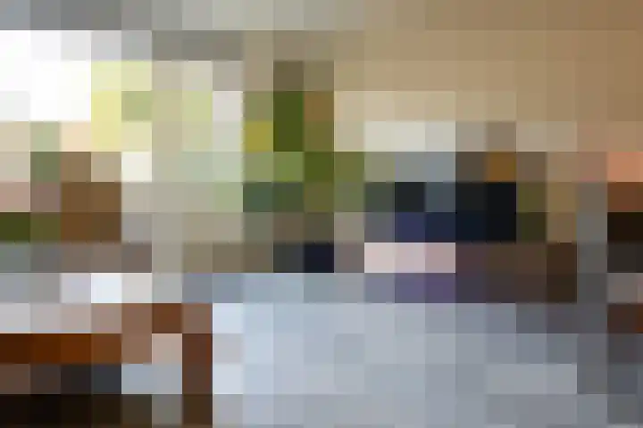 Visarend 15 Bergen op Zoom thumbnail 7