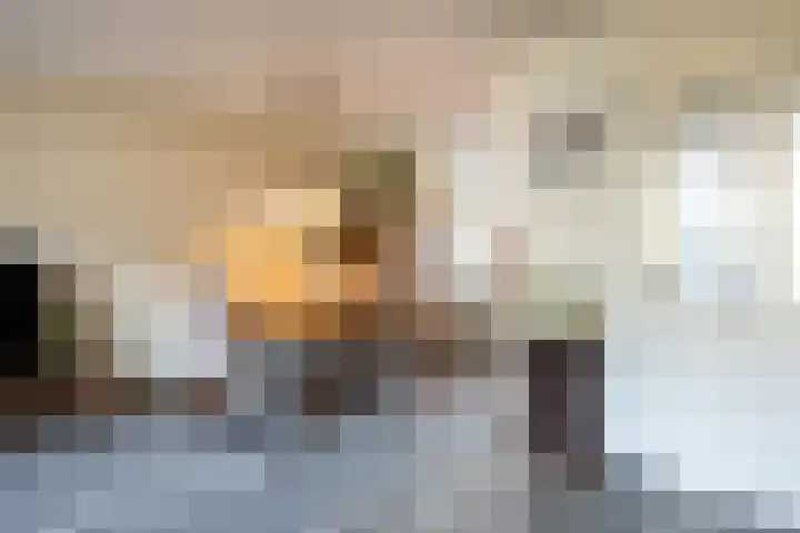 Visarend 15 Bergen op Zoom thumbnail 8