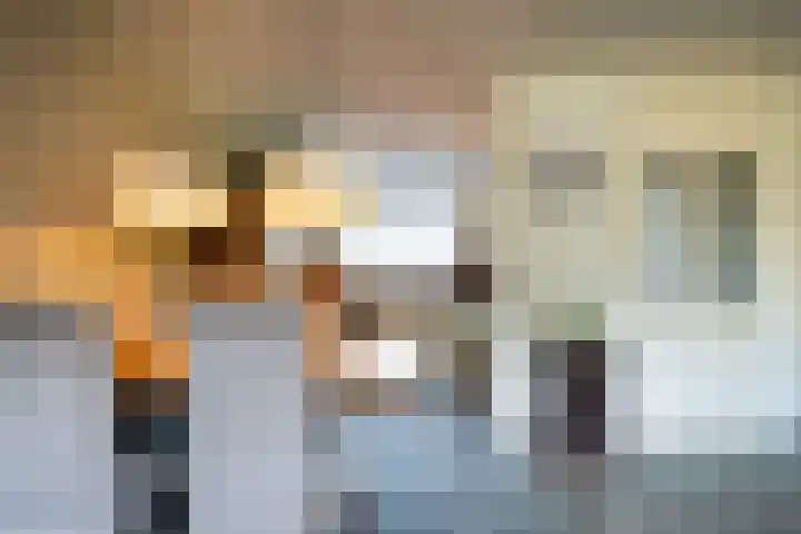 Visarend 15 Bergen op Zoom thumbnail 9