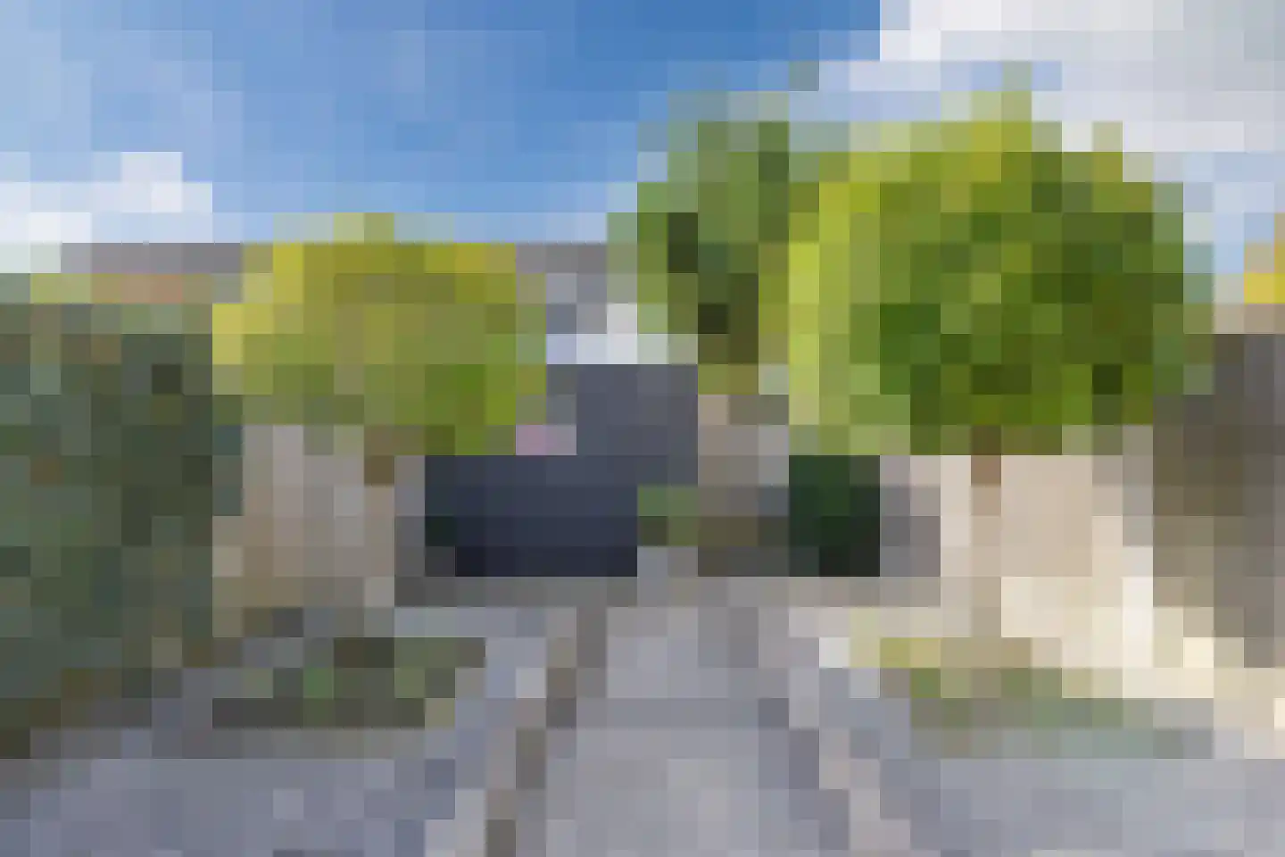 Visarend 17 Bergen op Zoom thumbnail 23