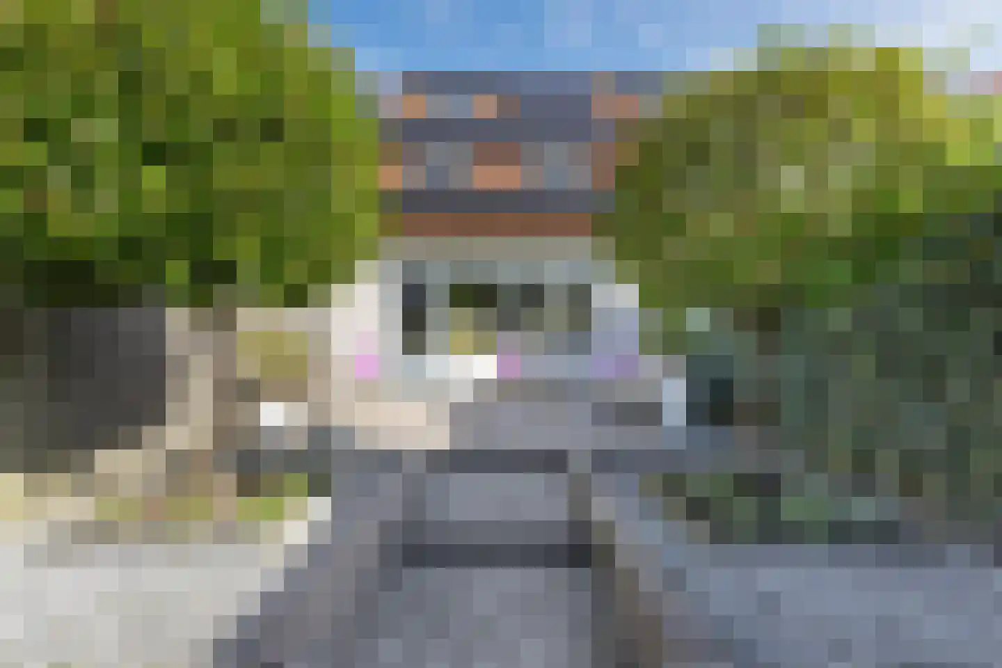 Visarend 17 Bergen op Zoom thumbnail 25