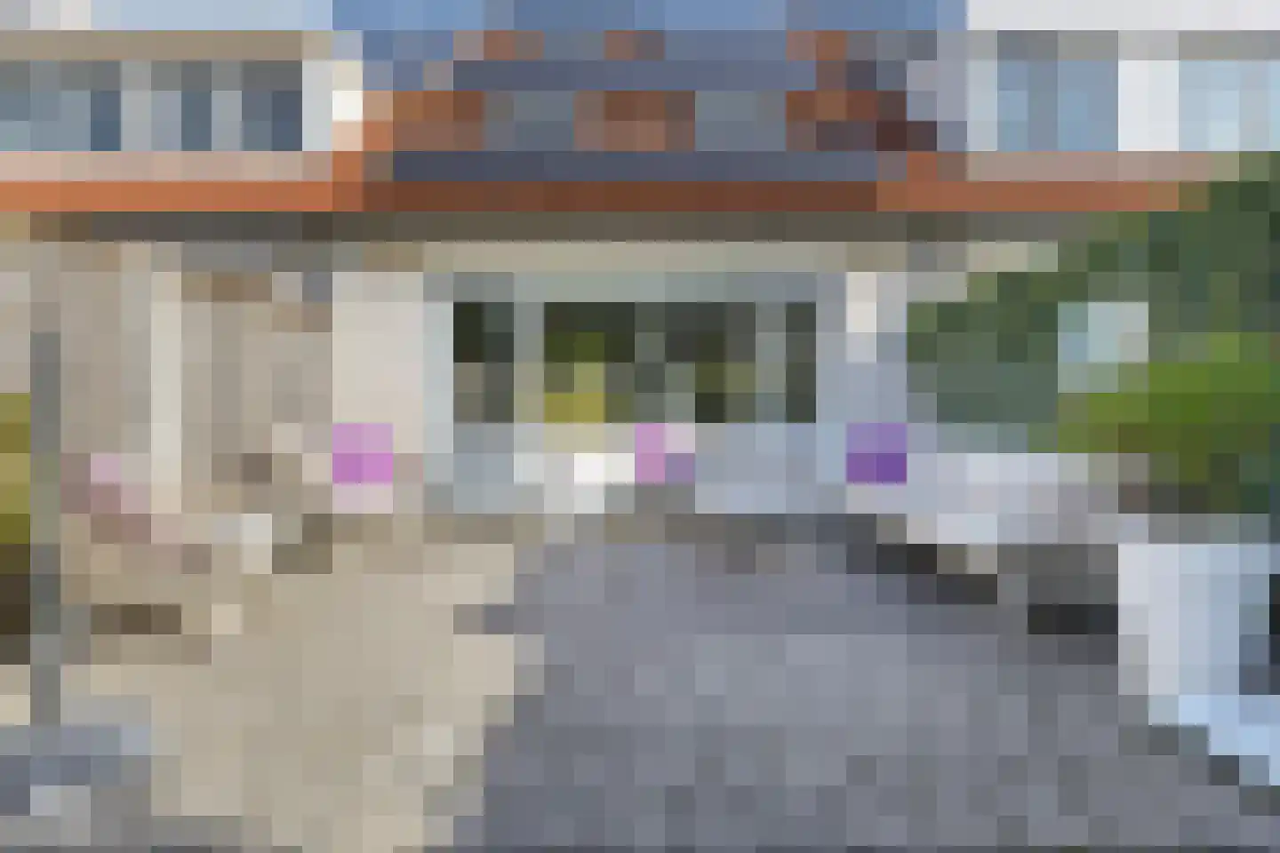 Visarend 17 Bergen op Zoom thumbnail 26