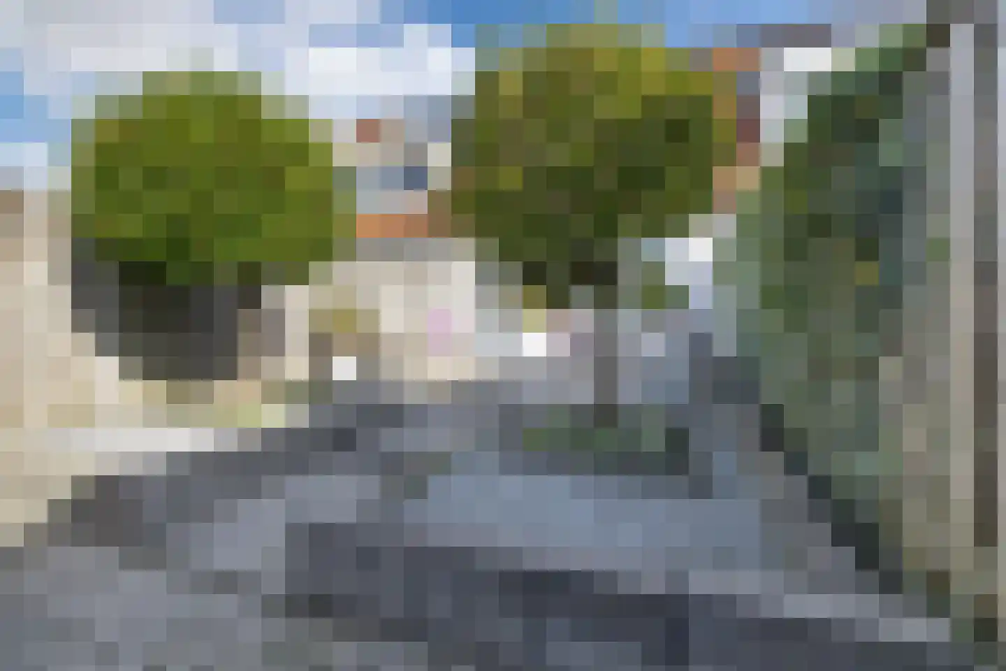 Visarend 17 Bergen op Zoom thumbnail 27