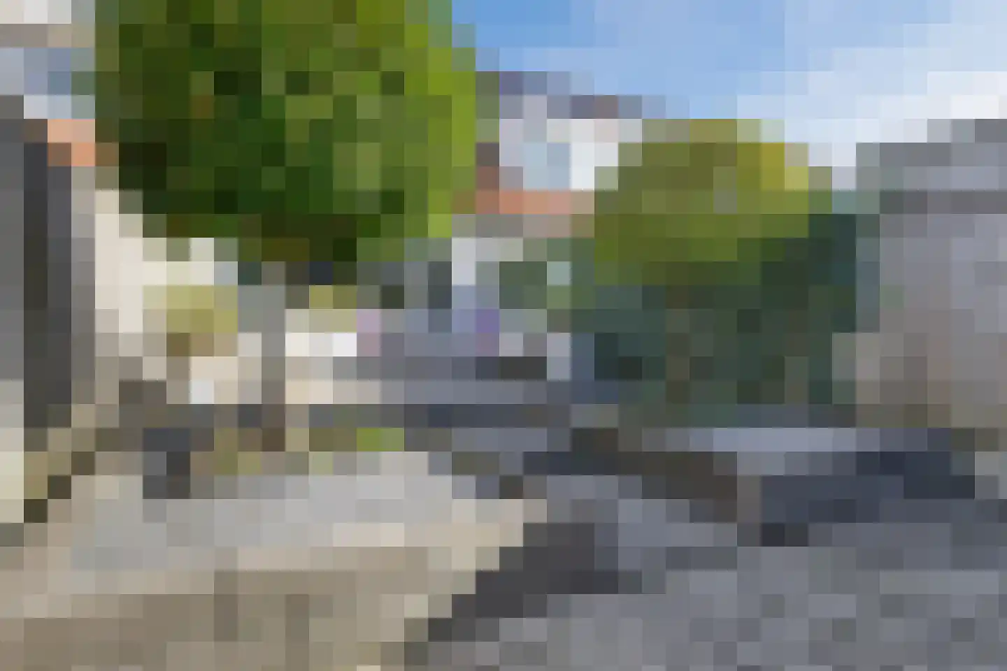 Visarend 17 Bergen op Zoom thumbnail 28