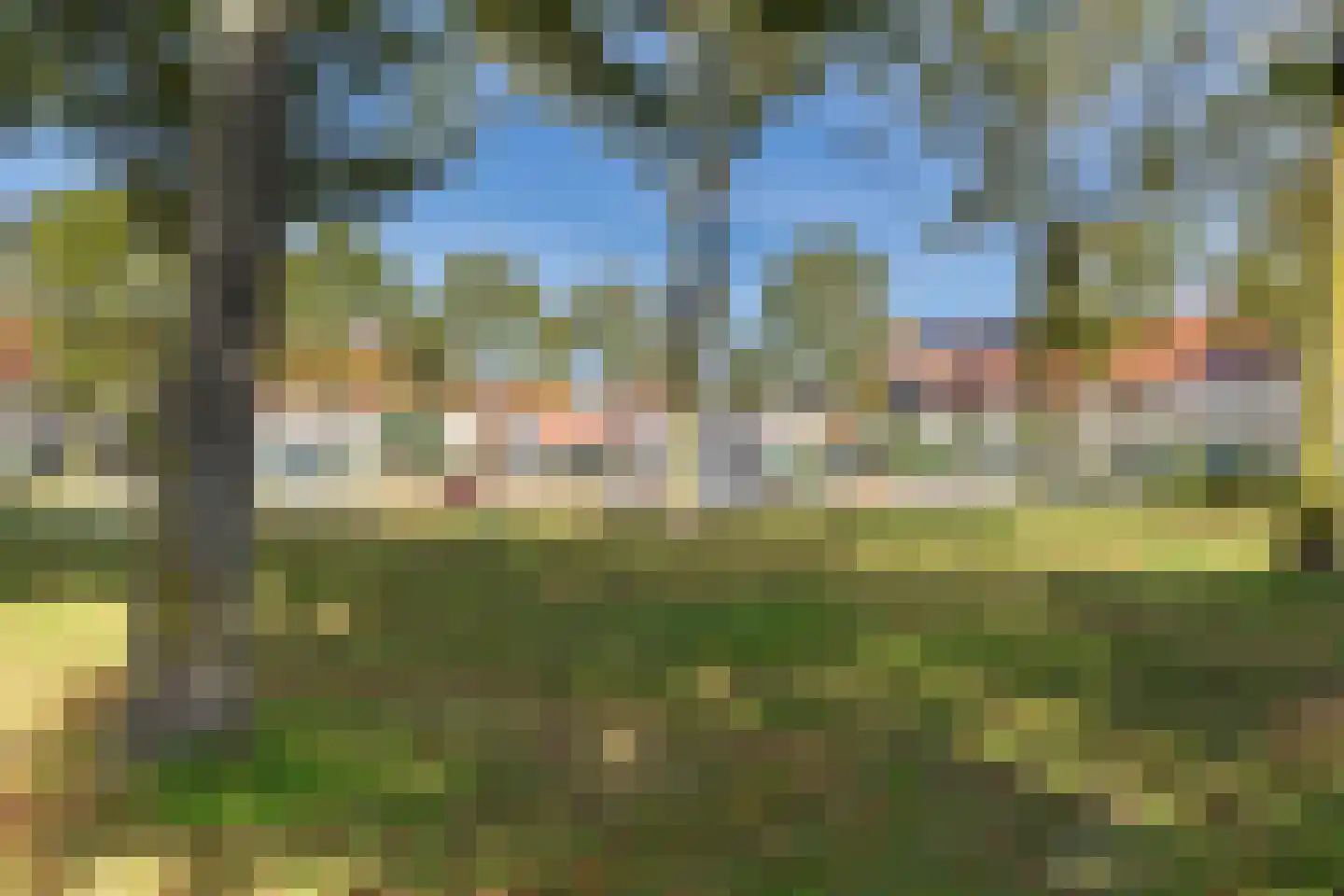 Visarend 17 Bergen op Zoom thumbnail 33