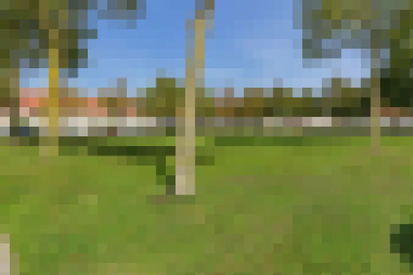 Visarend 17 Bergen op Zoom thumbnail 34