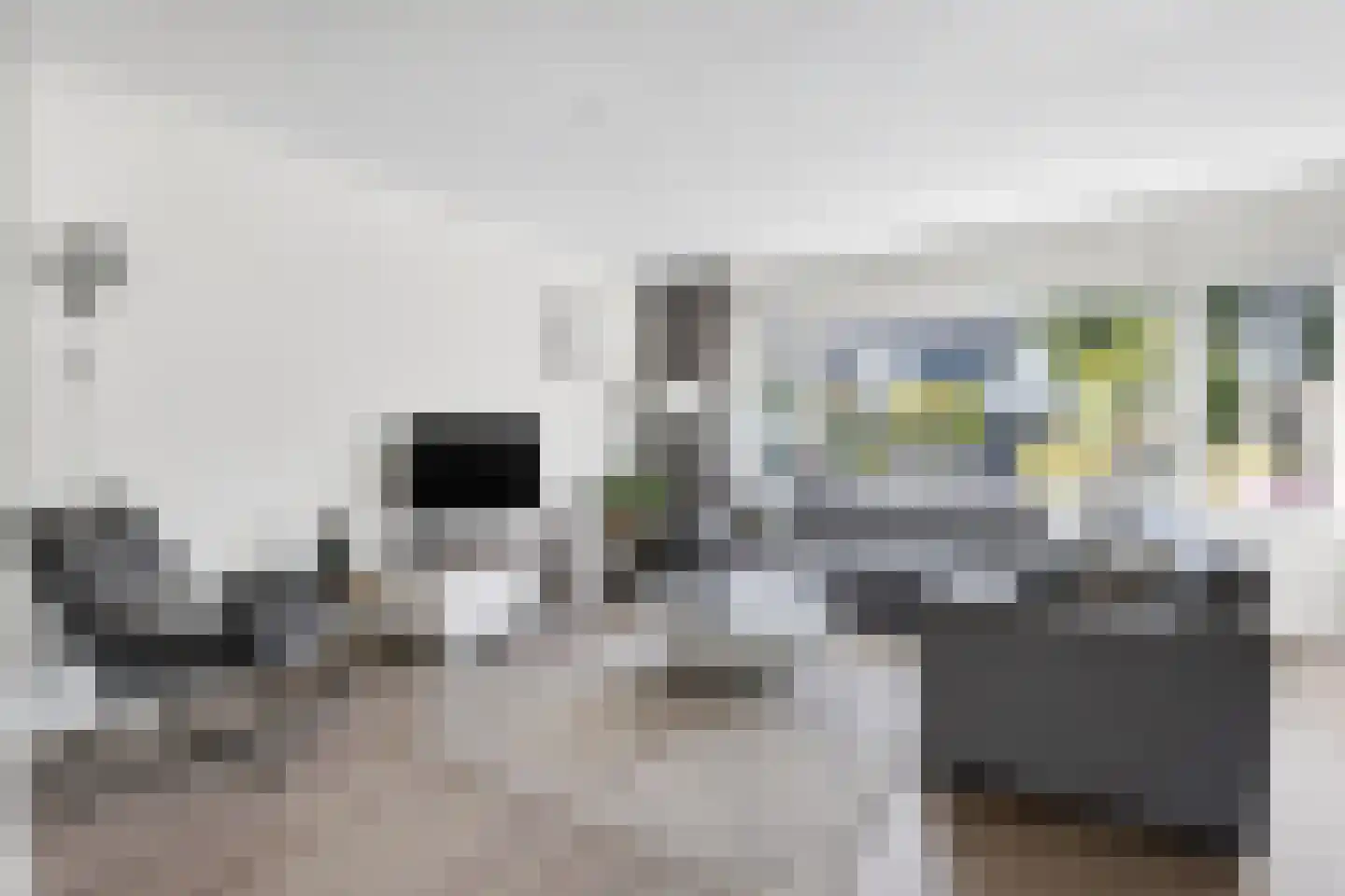 Visarend 17 Bergen op Zoom thumbnail 4