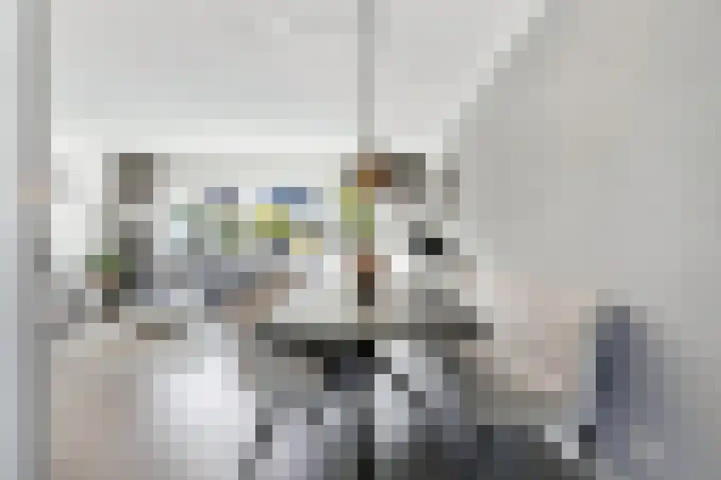 Visarend 17 Bergen op Zoom thumbnail 7