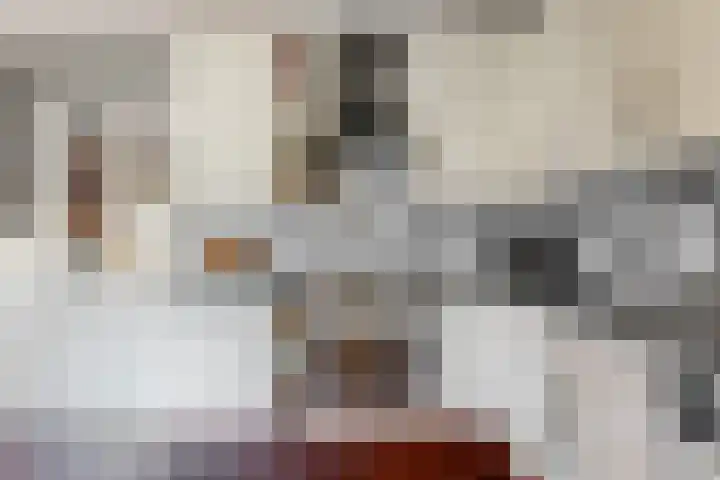 Visarend 26 Tollebeek thumbnail 13