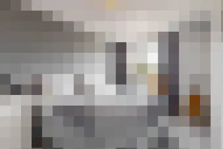 Visarend 26 Tollebeek thumbnail 18