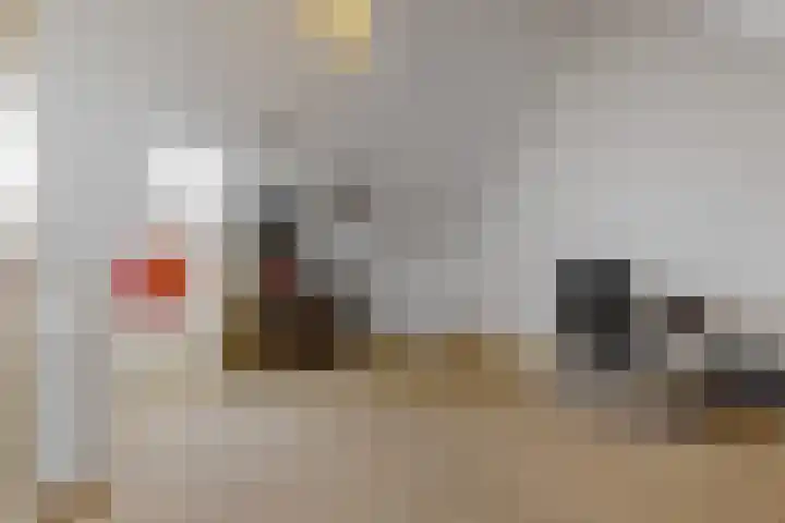 Visarend 26 Tollebeek thumbnail 24