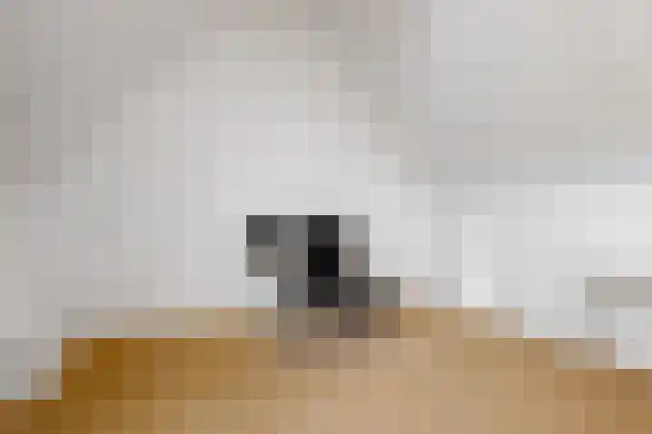 Visarend 26 Tollebeek thumbnail 26