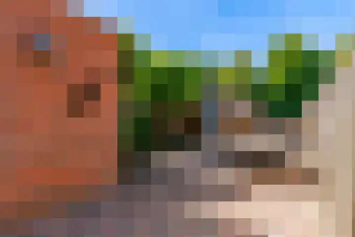 Visarend 26 Tollebeek thumbnail 27