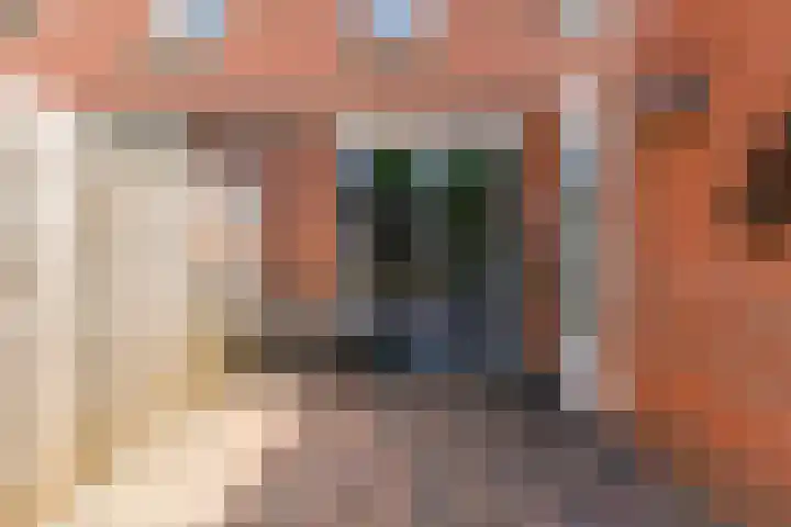 Visarend 26 Tollebeek thumbnail 28