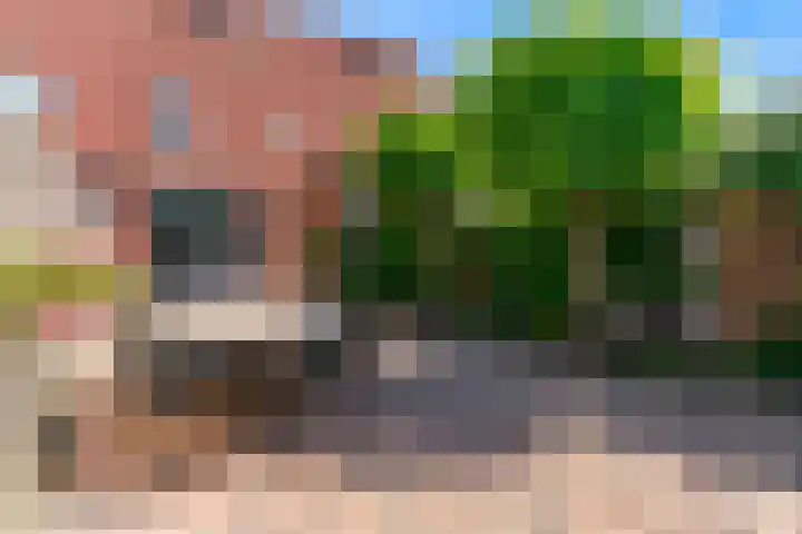 Visarend 26 Tollebeek thumbnail 29